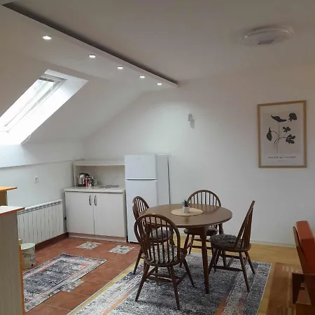 公寓 Sabic - Free Garage & Panoramic View 塞拉耶佛