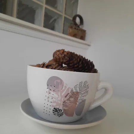 Sabic - Free Garage & Panoramic View