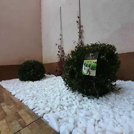 Sabic - Free Garage & Panoramic View