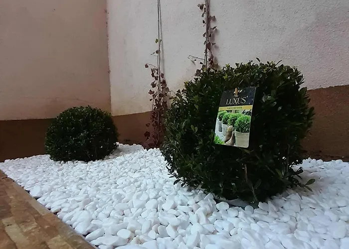 Sabic - Free Garage & Panoramic View