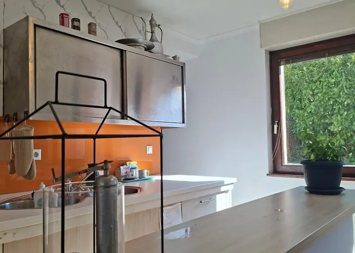 Sabic - Free Garage & Panoramic View 公寓 塞拉耶佛