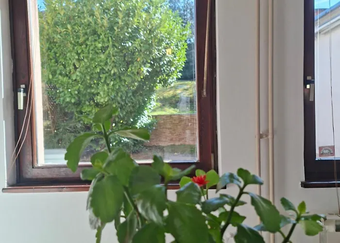 Sabic - Free Garage & Panoramic View *